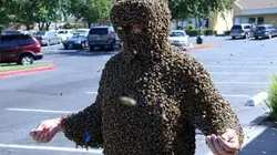 Visuel de Invasions animales