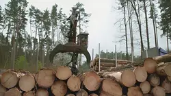 #Investigation  Ikea, l'ogre des forêts