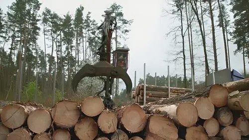 #Investigation Ikea, l'ogre des forêts