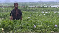 Investigatiôns Des richesses pour tous