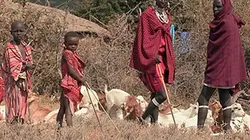 Investigatiôns Spécial Afrique