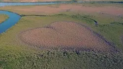 Investigatiôns Les eaux troubles du Pacifique