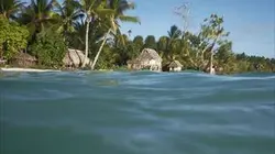 Investigatiôns Îles en danger