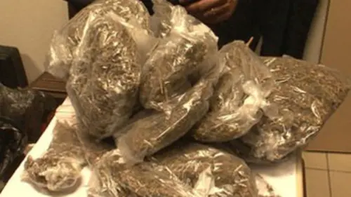 Investigatiôns Terres de convoitise