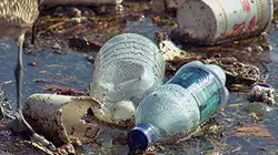 Investigatiôns La guerre aux profits