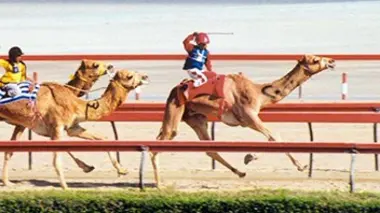 Episode 32 : Enfance en danger