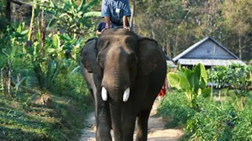 Investigatiôns Natures en danger