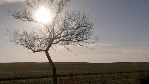 Casting Invitation au voyage