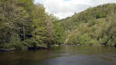 Invitation au voyage