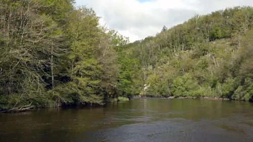 Invitation au voyage