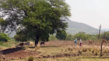 Invitation au voyage