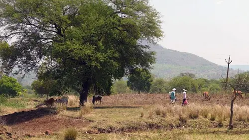 Casting Invitation au voyage