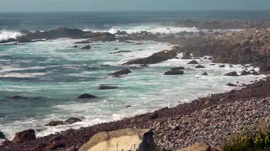 Invitation au voyage