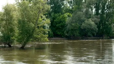 Invitation au voyage