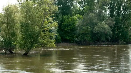 Invitation au voyage