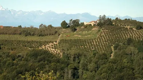 Invitation au voyage