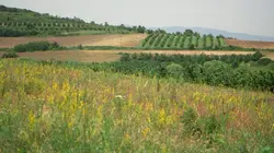 Invitation au voyage Spécial Bulgarie