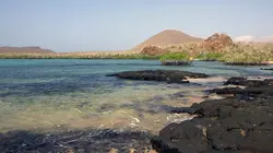 Invitation au voyage Spécial Galápagos