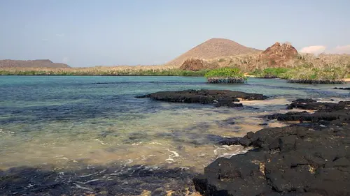 Invitation au voyage Spécial Galápagos