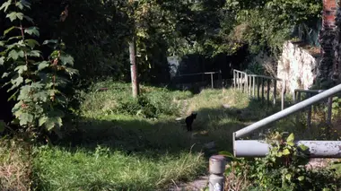 Invitation au voyage