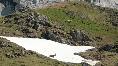 Invitation au voyage