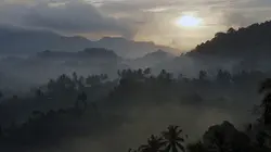 Invitation au voyage