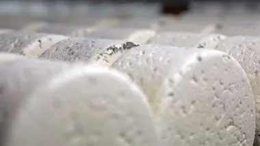 Invitation au voyage