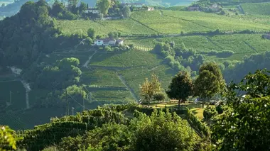 Invitation au voyage