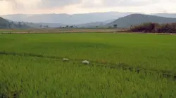 Invitation au voyage