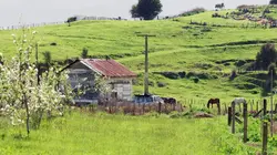 Invitation au voyage  Nouvelle-Zélande