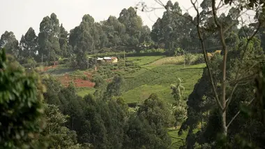 Invitation au voyage