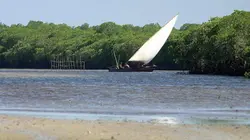 Invitation au voyage