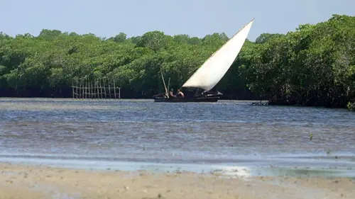 Invitation au voyage