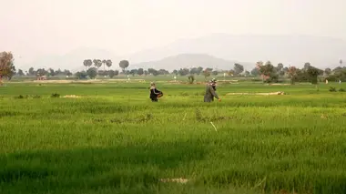 Invitation au voyage