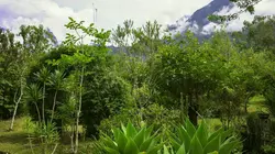 Invitation au voyage