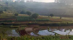 Invitation au voyage