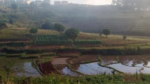 Casting Invitation au voyage