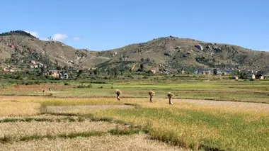 Invitation au voyage