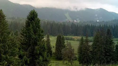 Invitation au voyage