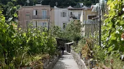 Visuel de Invitation au voyage