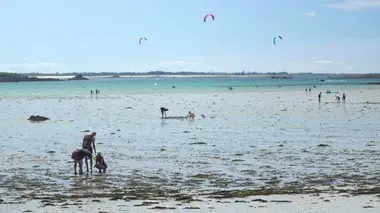 Invitation au voyage