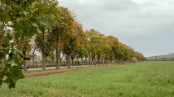 Invitation au voyage