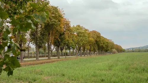 Invitation au voyage