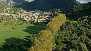 Invitation au voyage