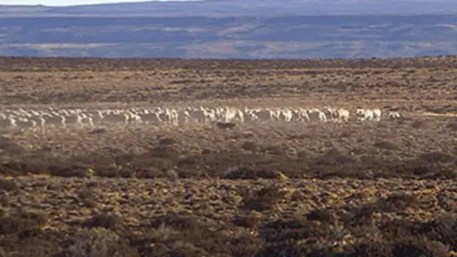 Invitation au voyage