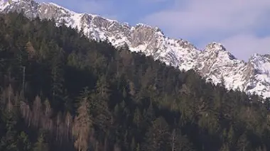 Invitation au voyage