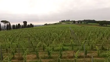 Invitation au voyage