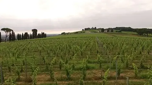 Invitation au voyage