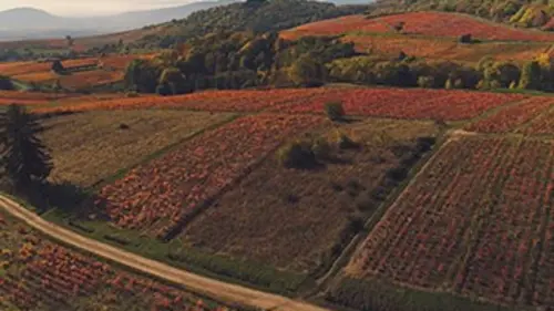 Invitation au voyage