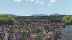 Visuel de Invitation au voyage
